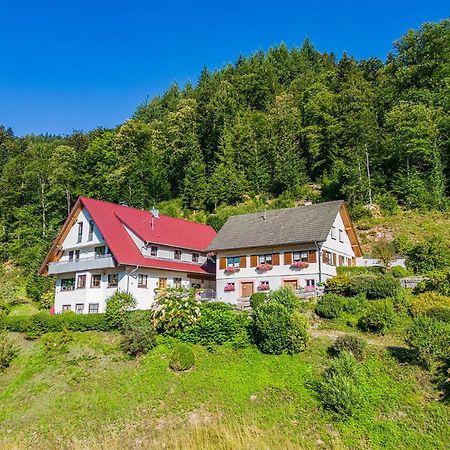 Haus Niedermaettle Apartment Oppenau Luaran gambar