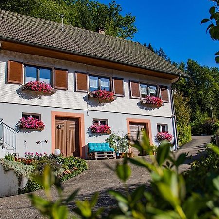 Haus Niedermaettle Apartment Oppenau Luaran gambar
