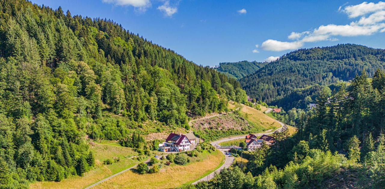Haus Niedermaettle Apartment Oppenau Luaran gambar