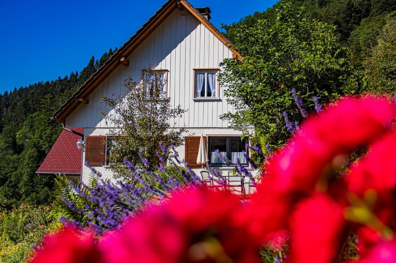 Haus Niedermaettle Apartment Oppenau Luaran gambar