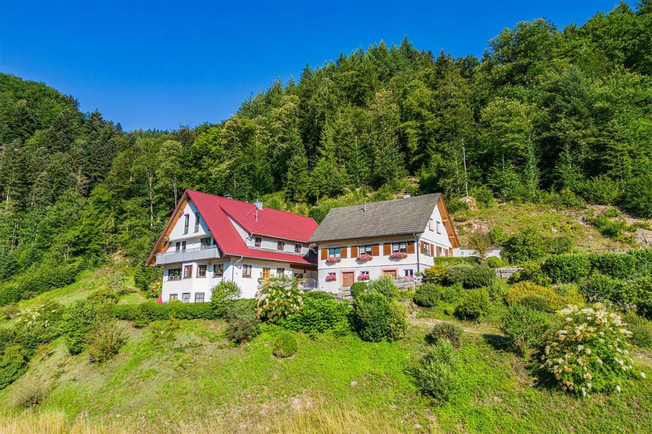 Haus Niedermaettle Apartment Oppenau Luaran gambar