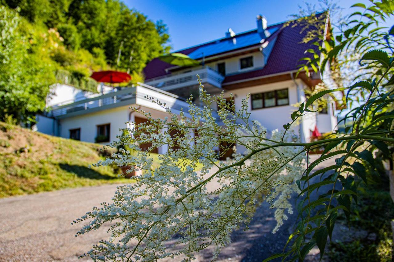Haus Niedermaettle Apartment Oppenau Luaran gambar